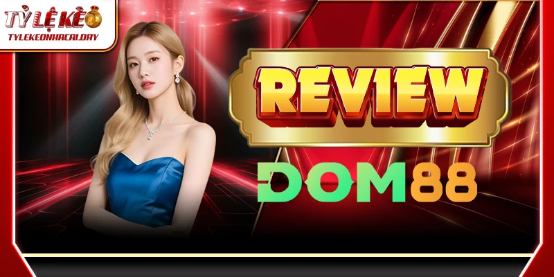 dom88 1 1